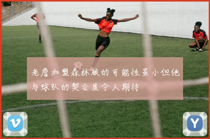 老詹加盟森林狼的可能性虽小但他与球队的契合度令人期待