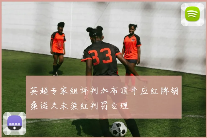 英超专家组评判加布顶牛应红牌胡桑诺夫未染红判罚合理