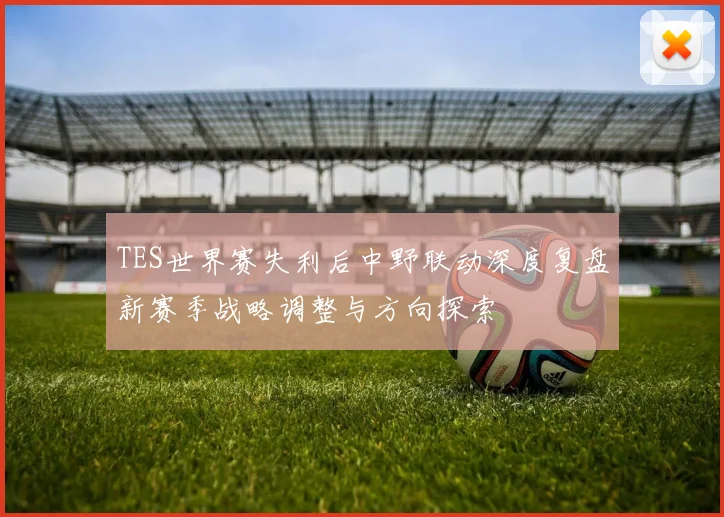 TES世界赛失利后中野联动深度复盘新赛季战略调整与方向探索